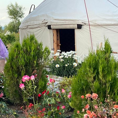 Maksat House Otel Tossor Dış mekan fotoğraf